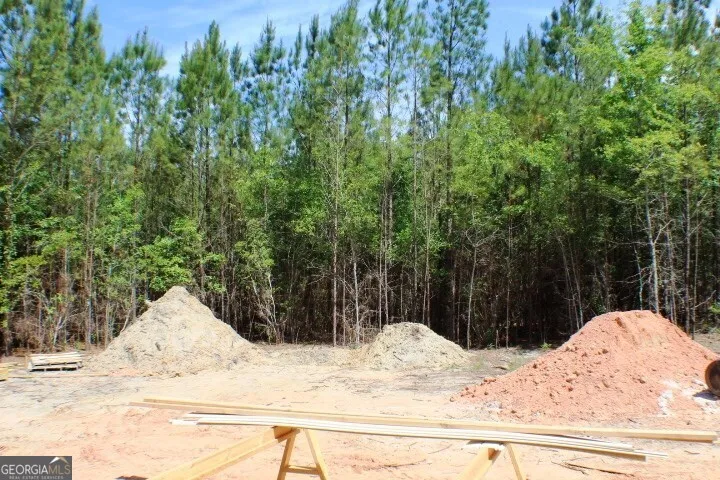1224 Snow Hill RD Cadwell, GA 31009