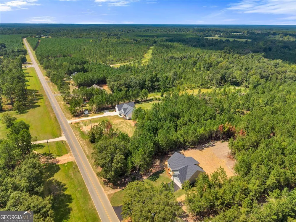 1224 Snow Hill RD Cadwell, GA 31009