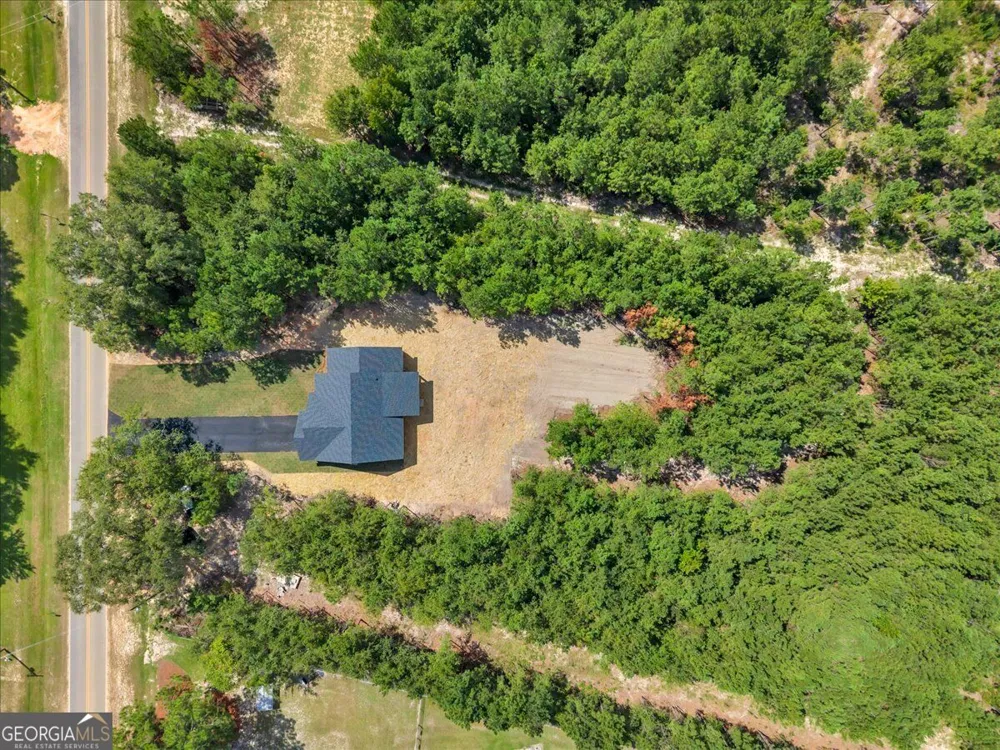 1224 Snow Hill RD Cadwell, GA 31009