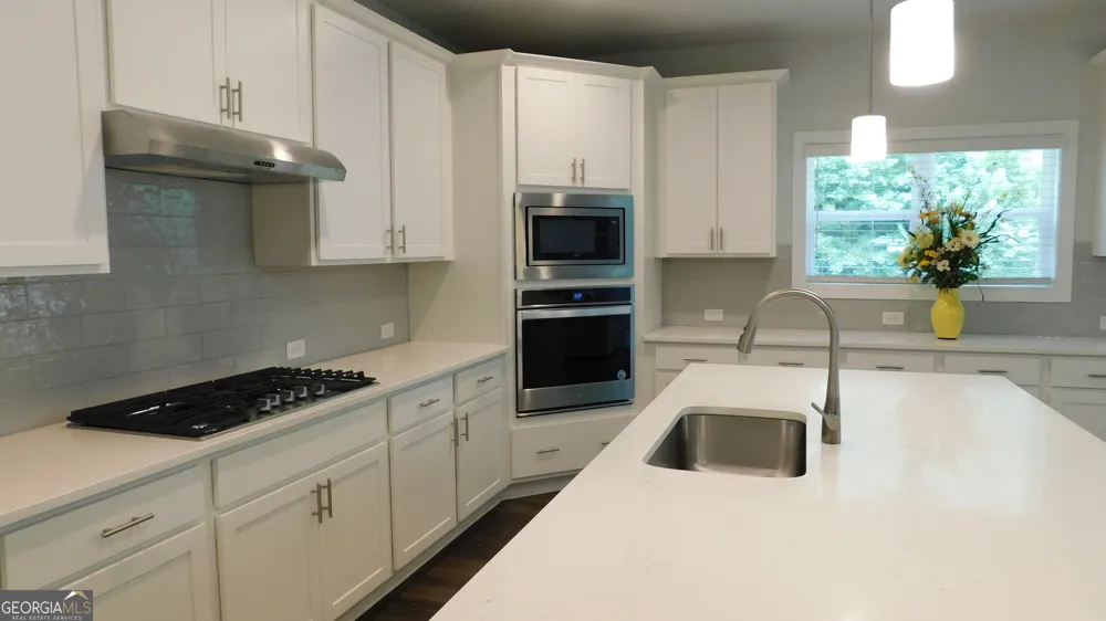 232 Wild Rose CIR Holly Springs, GA 30115