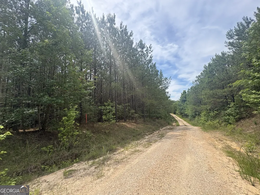 4 Callaway RD Tignall, GA 30668