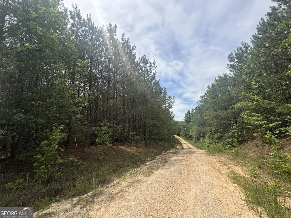 4 Callaway RD Tignall, GA 30668