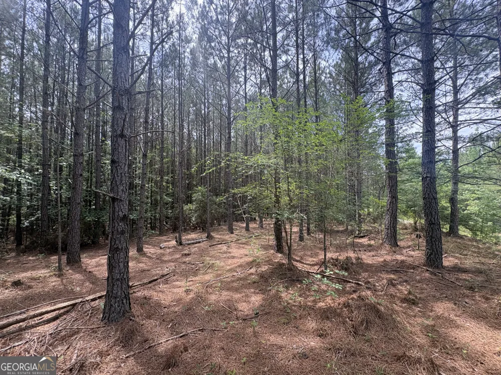 4 Callaway RD Tignall, GA 30668
