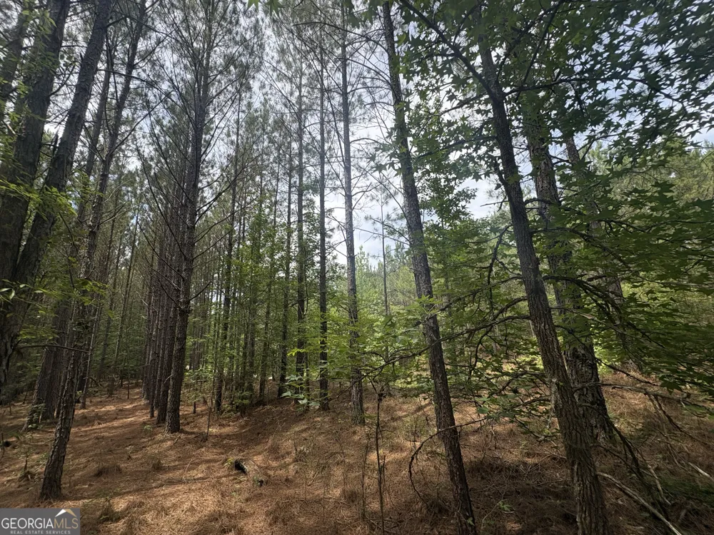 4 Callaway RD Tignall, GA 30668