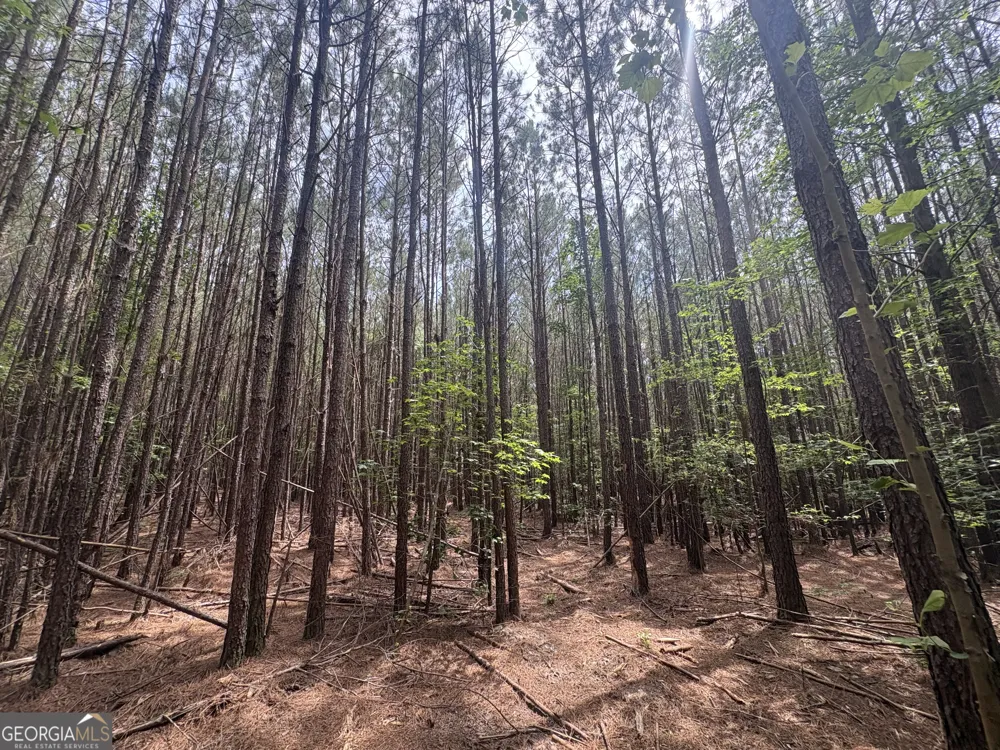 4 Callaway RD Tignall, GA 30668