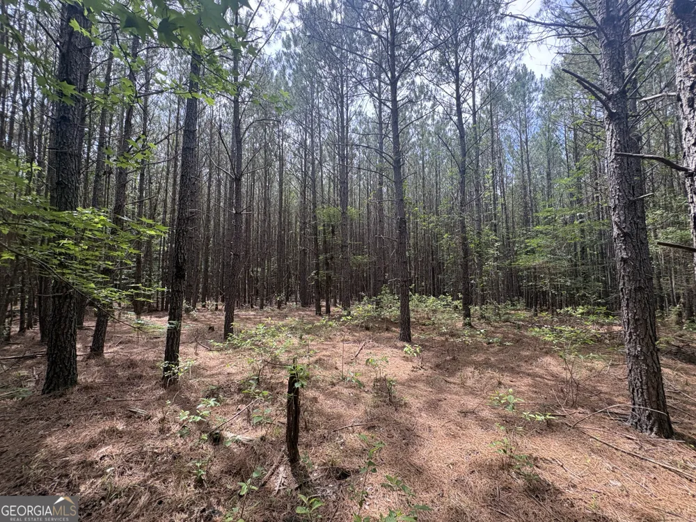 4 Callaway RD Tignall, GA 30668
