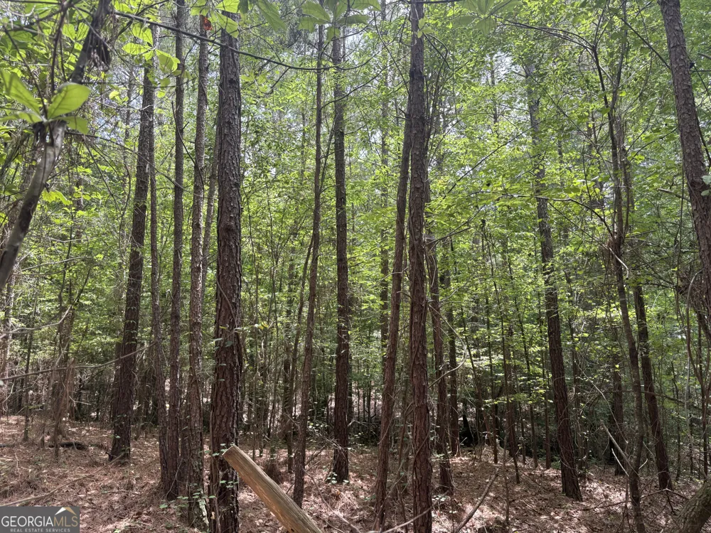 4 Callaway RD Tignall, GA 30668