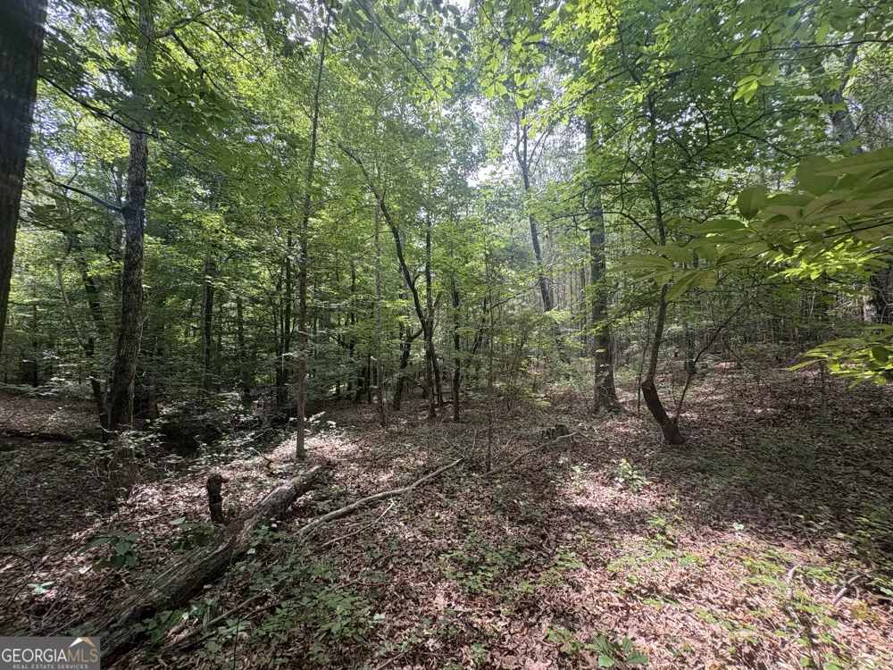 4 Callaway RD Tignall, GA 30668