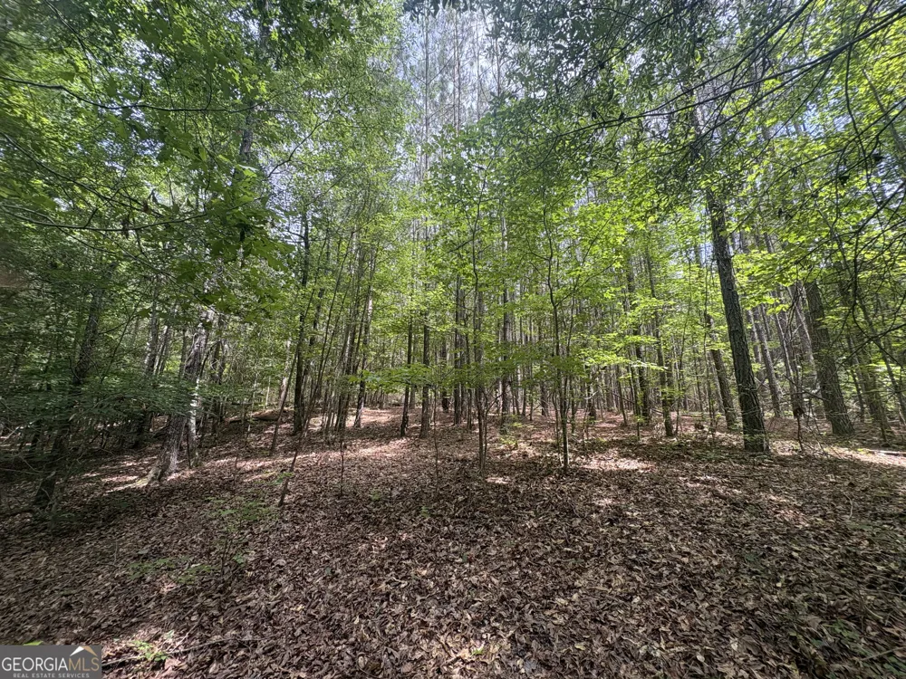 4 Callaway RD Tignall, GA 30668