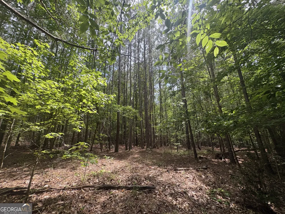 4 Callaway RD Tignall, GA 30668