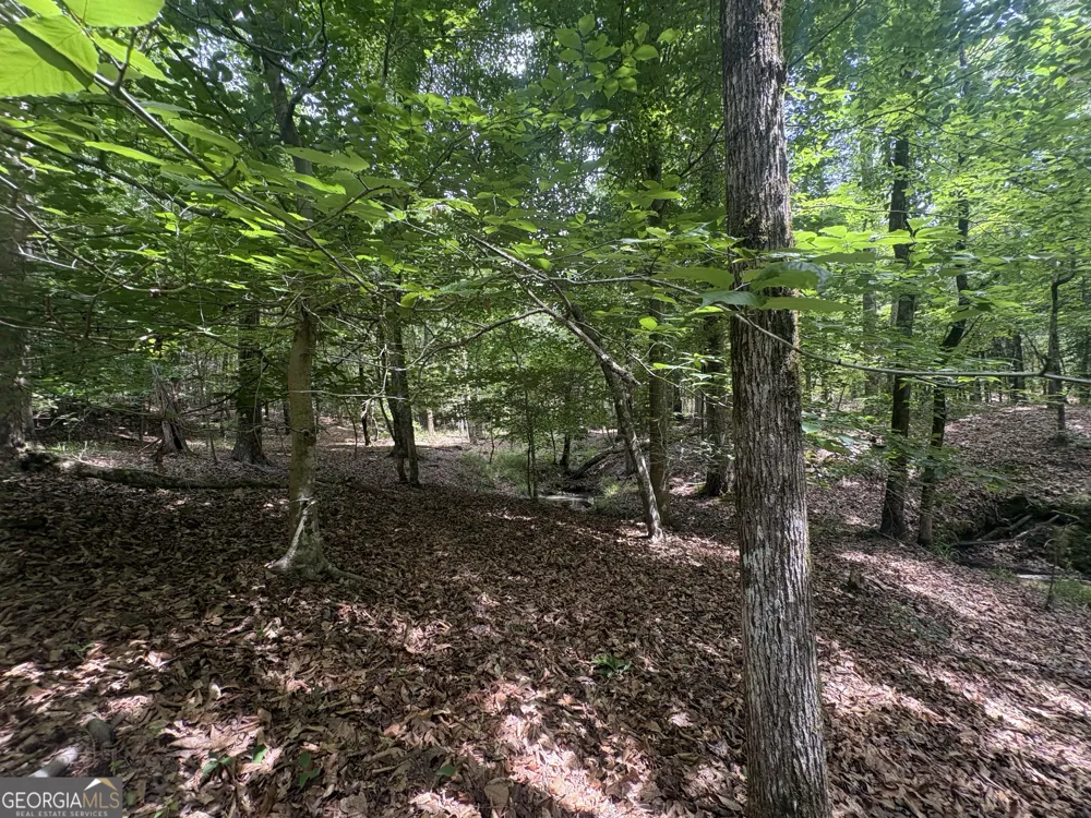 4 Callaway RD Tignall, GA 30668