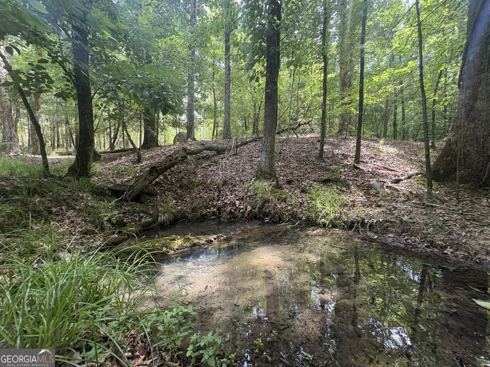 4 Callaway RD Tignall, GA 30668