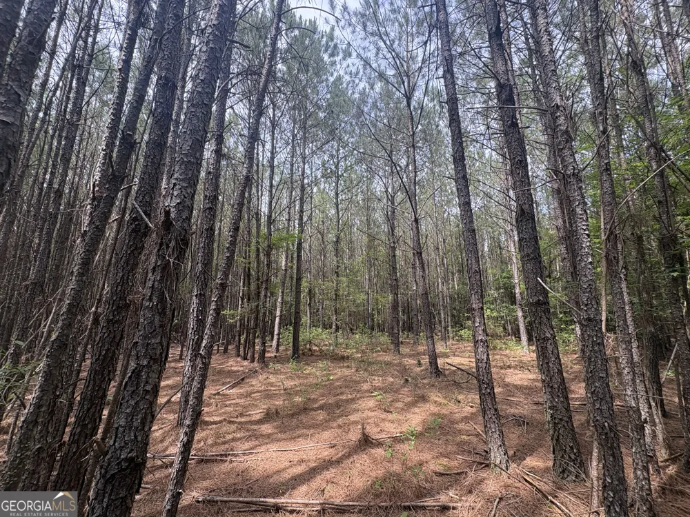 4 Callaway RD Tignall, GA 30668