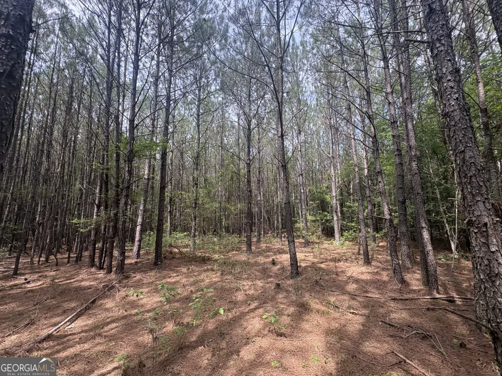 4 Callaway RD Tignall, GA 30668