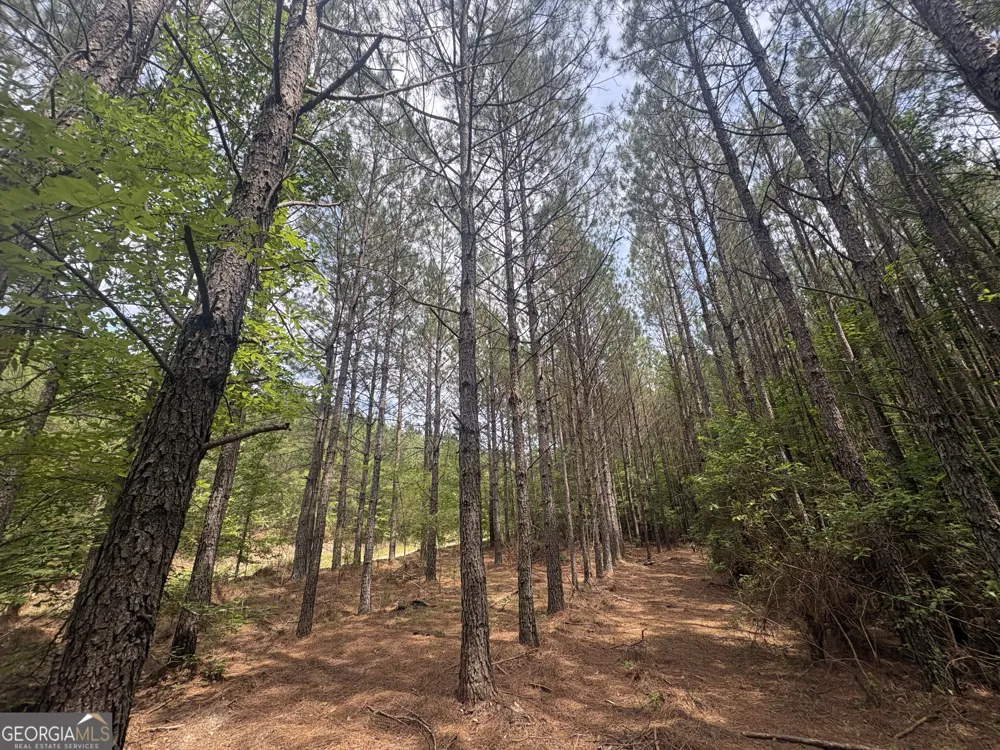 4 Callaway RD Tignall, GA 30668