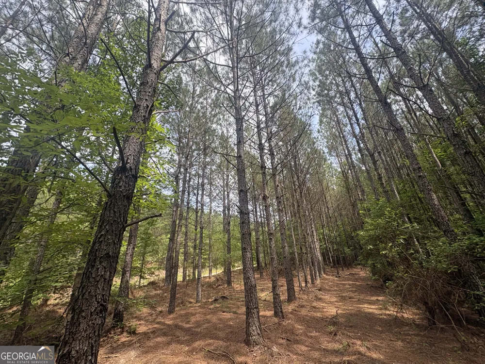 4 Callaway RD Tignall, GA 30668