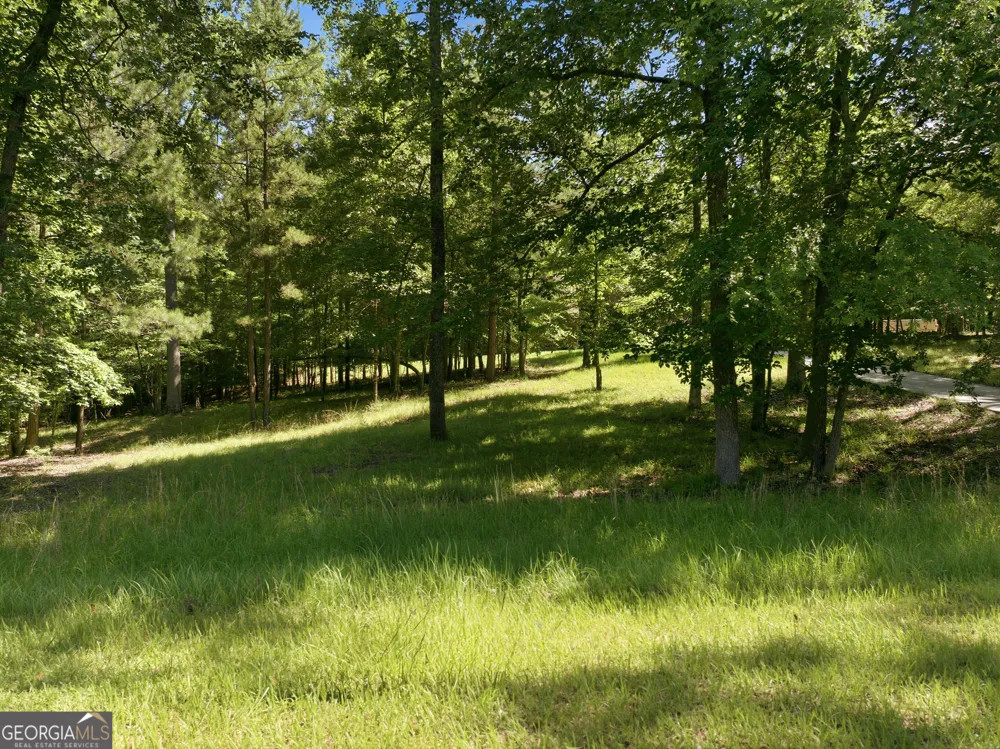 1089 N North Pointe DR Tignall, GA 30668
