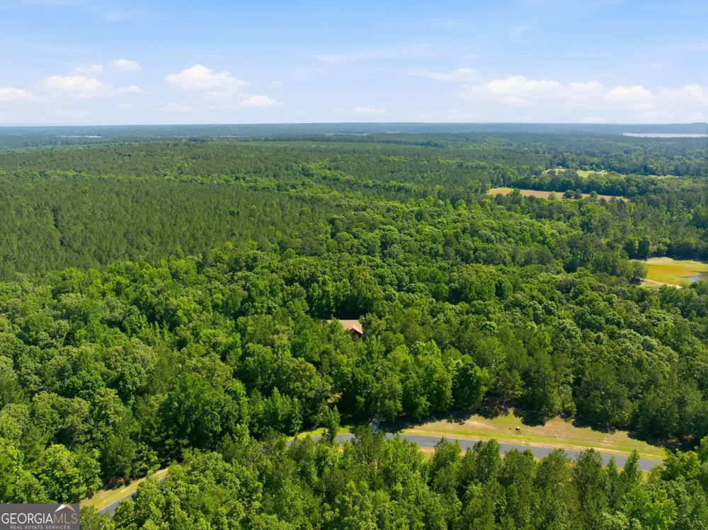1089 N North Pointe DR Tignall, GA 30668