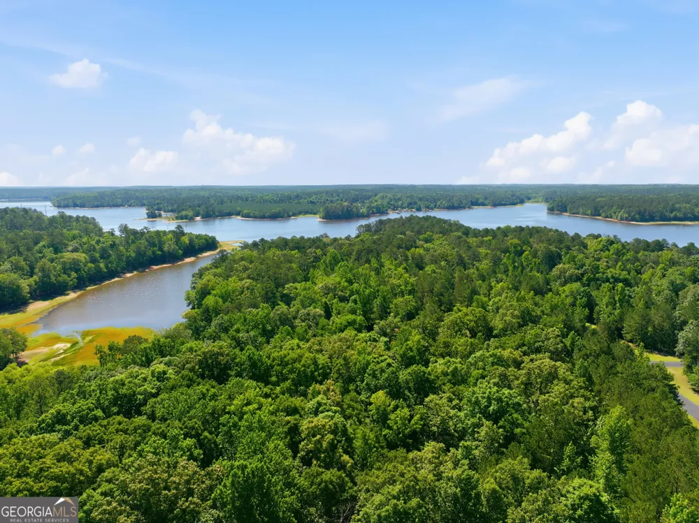 1089 N North Pointe DR Tignall, GA 30668