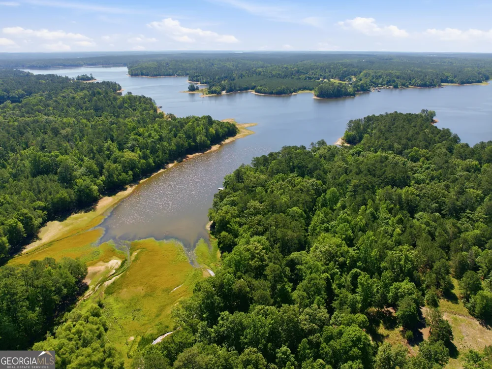 1089 N North Pointe DR Tignall, GA 30668