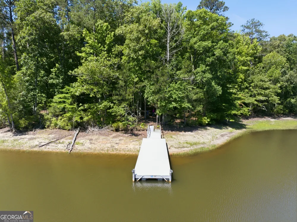 1089 N North Pointe DR Tignall, GA 30668