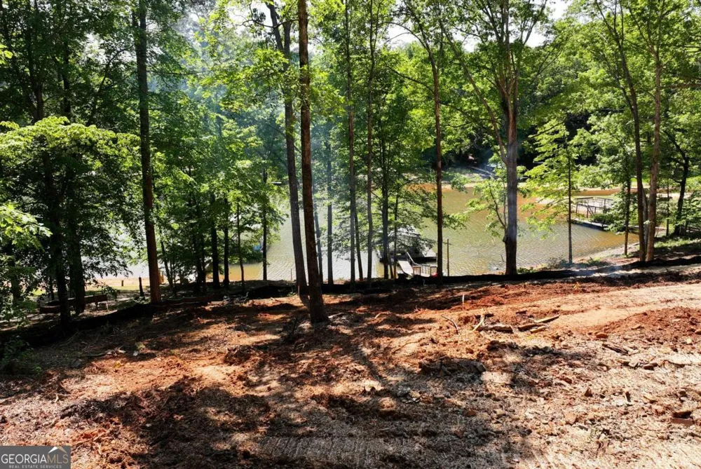 64 Long Cove PASS Dawsonville, GA 30534