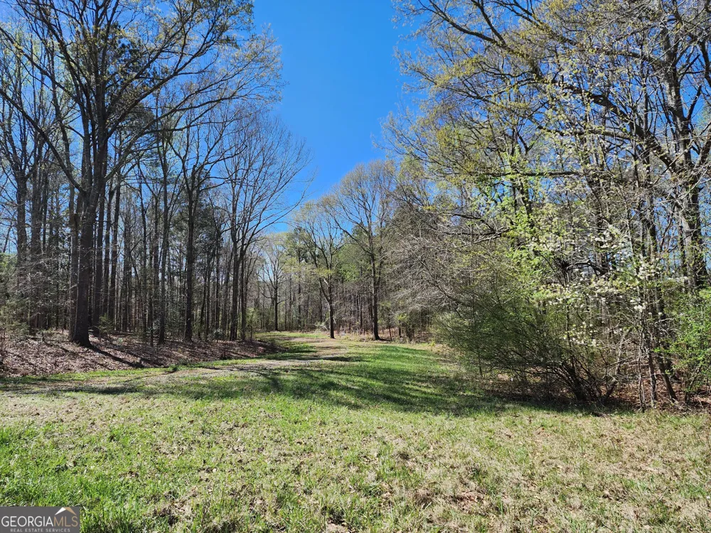 0 Deer Ridge DR Hamilton, GA 31811