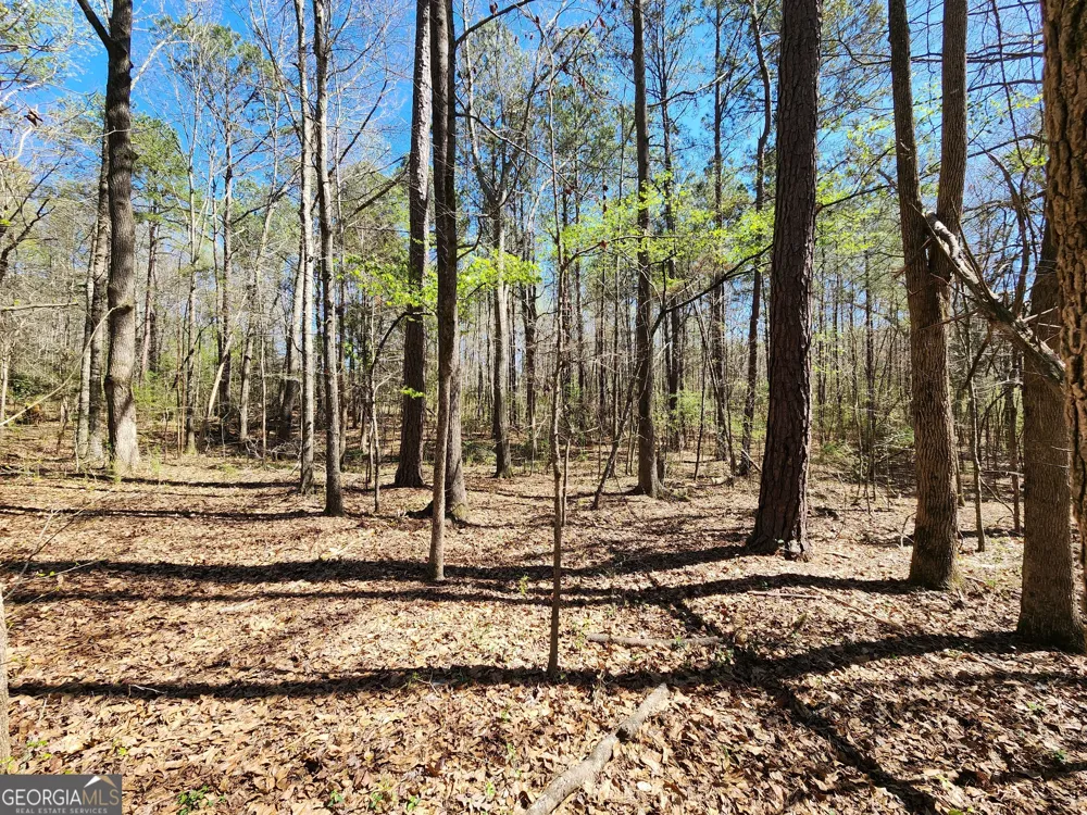 0 Deer Ridge DR Hamilton, GA 31811