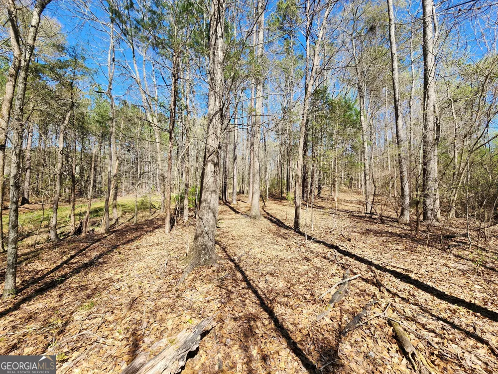 0 Deer Ridge DR Hamilton, GA 31811