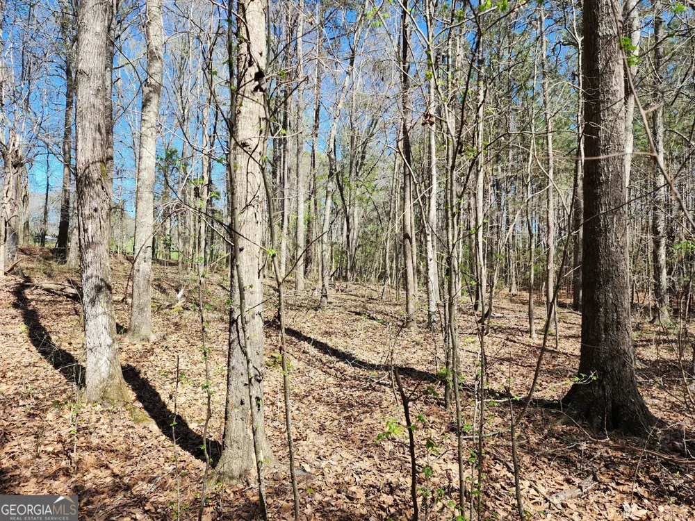 0 Deer Ridge DR Hamilton, GA 31811
