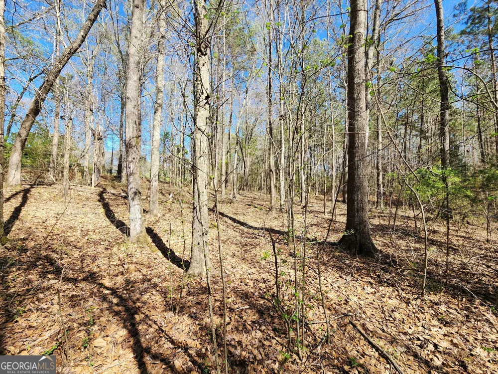0 Deer Ridge DR Hamilton, GA 31811