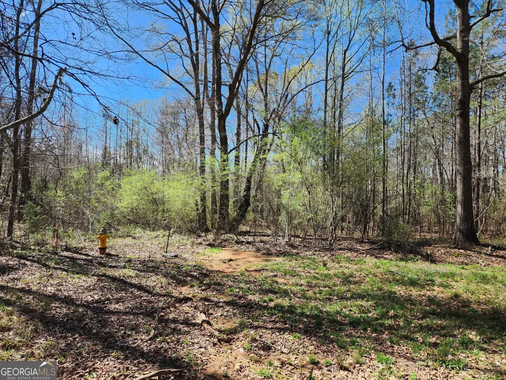 0 Deer Ridge DR Hamilton, GA 31811