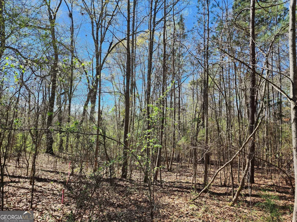 0 Deer Ridge DR Hamilton, GA 31811