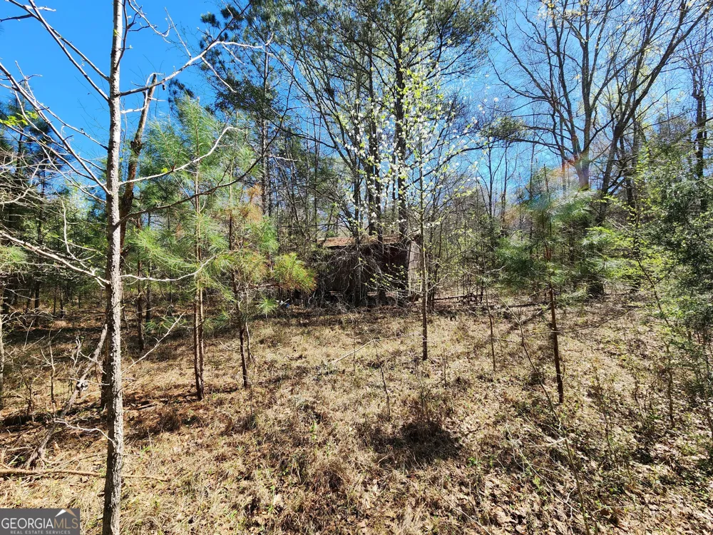 0 Deer Ridge DR Hamilton, GA 31811