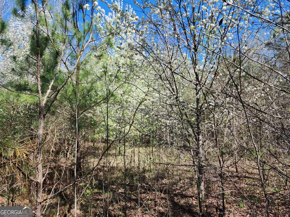 0 Deer Ridge DR Hamilton, GA 31811