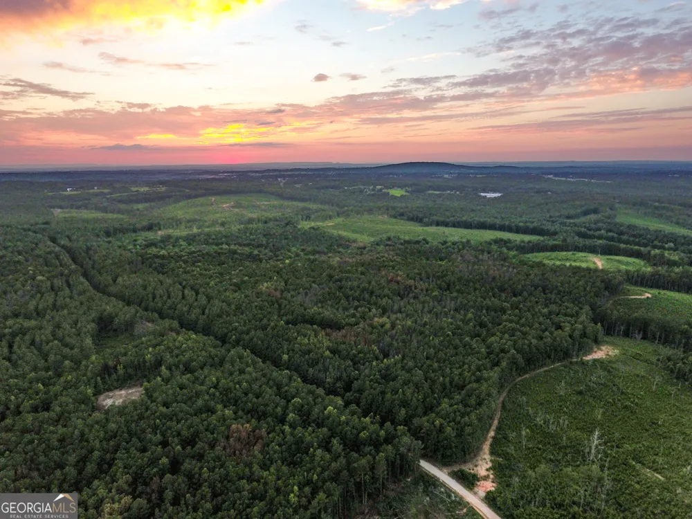 0 Caney Head RD Roopville, GA 30170