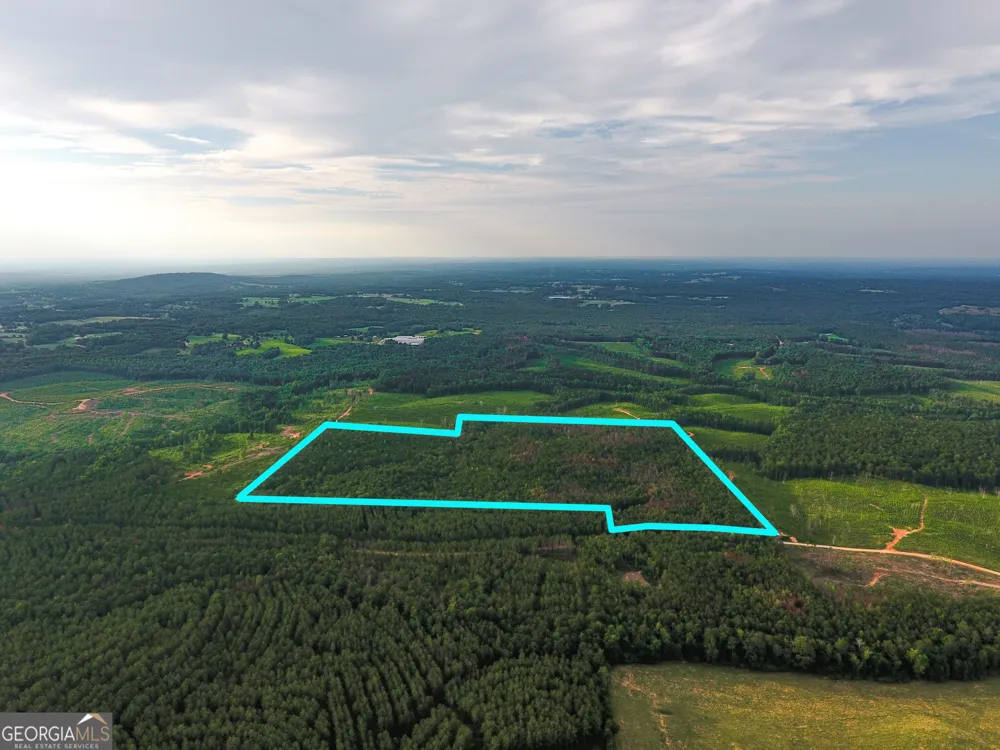 0 Caney Head RD Roopville, GA 30170
