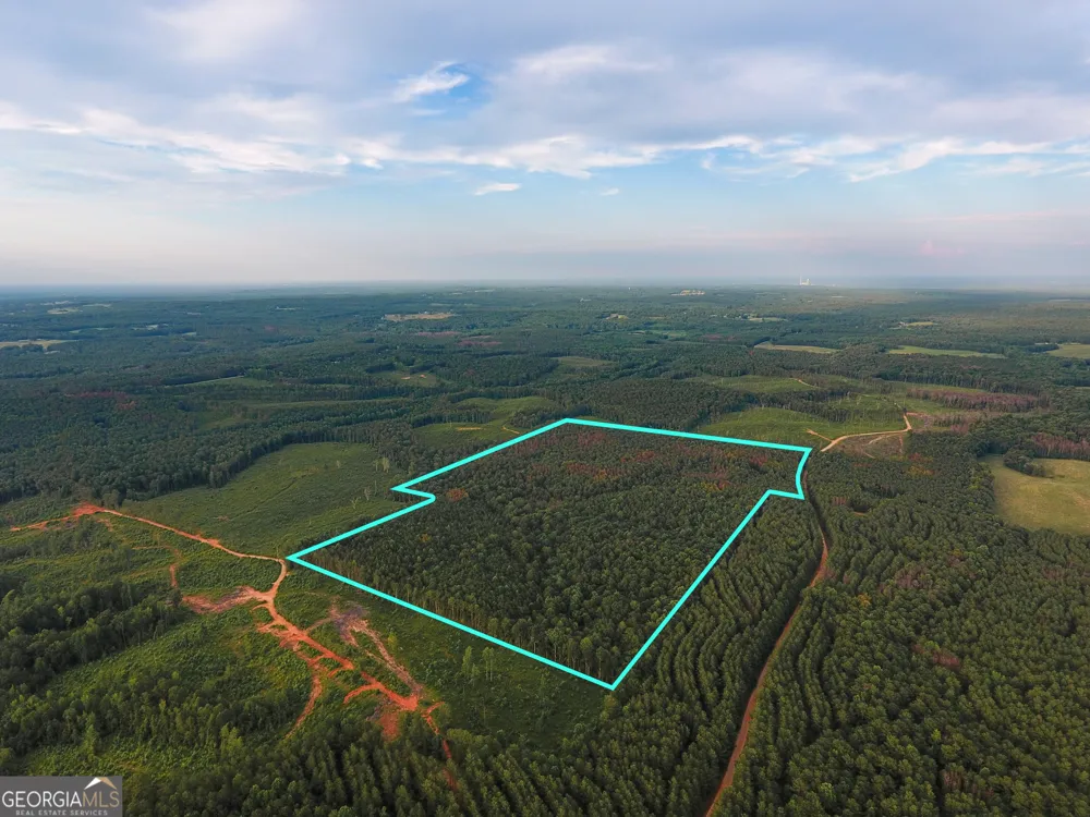 0 Caney Head RD Roopville, GA 30170