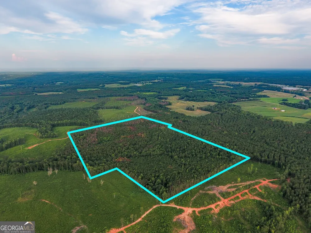 0 Caney Head RD Roopville, GA 30170