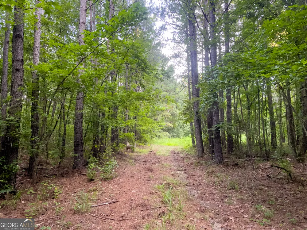 0 Caney Head RD Roopville, GA 30170