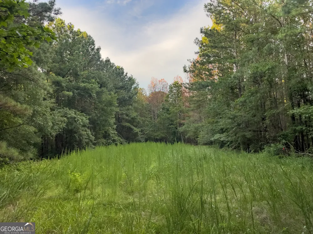 0 Caney Head RD Roopville, GA 30170