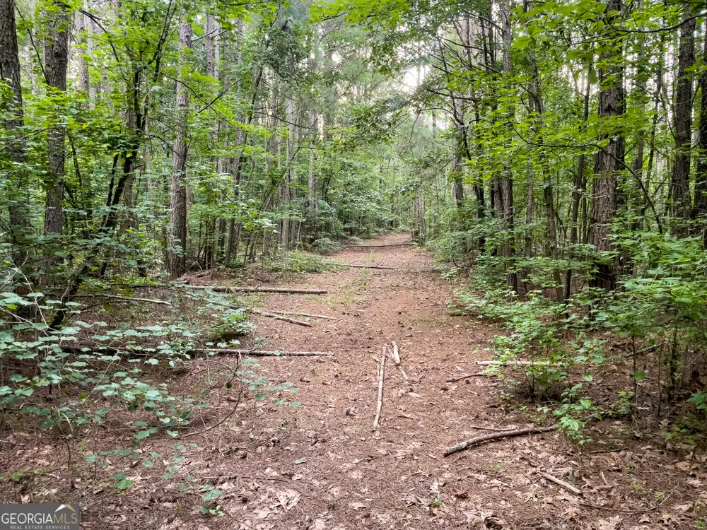 0 Caney Head RD Roopville, GA 30170