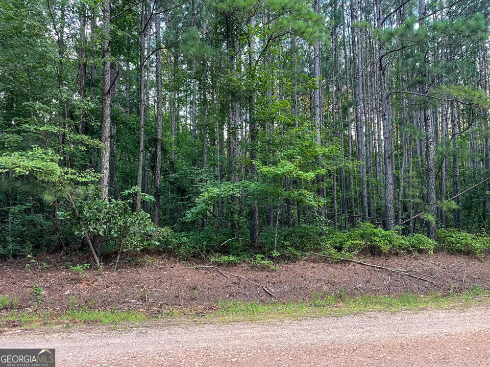 0 Caney Head RD Roopville, GA 30170