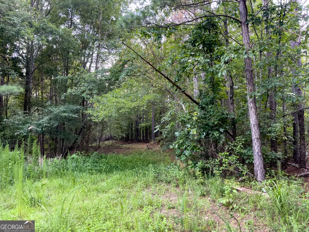 0 Caney Head RD Roopville, GA 30170