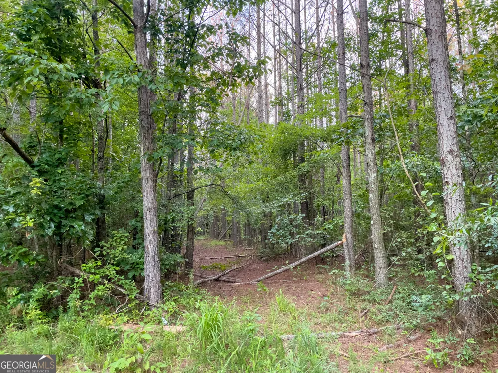 0 Caney Head RD Roopville, GA 30170