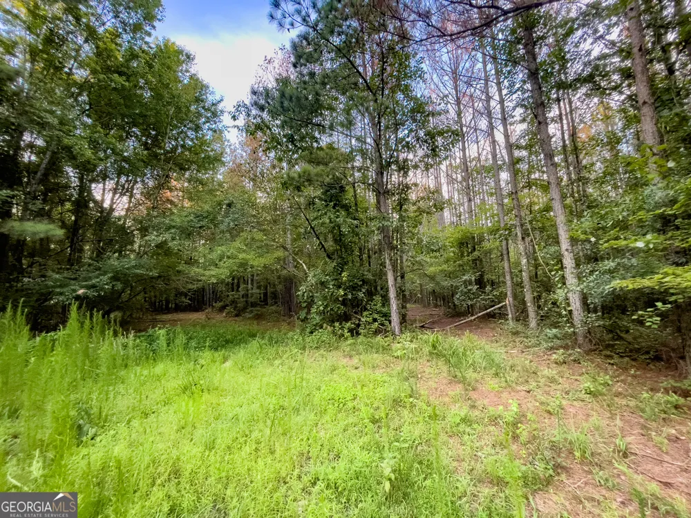0 Caney Head RD Roopville, GA 30170
