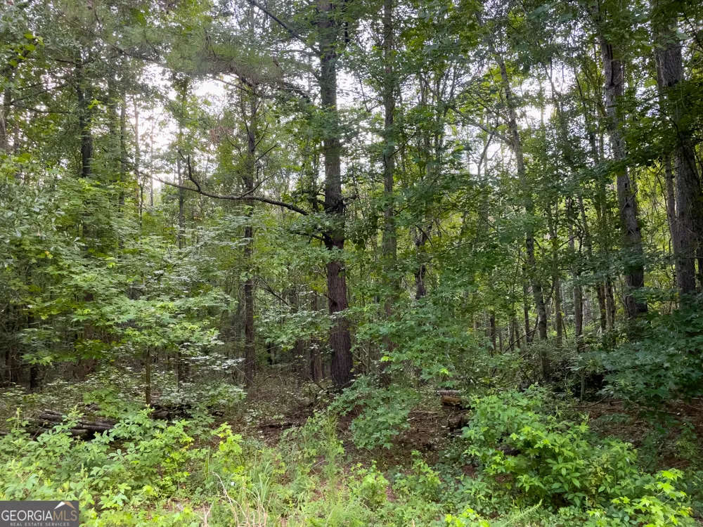 0 Caney Head RD Roopville, GA 30170