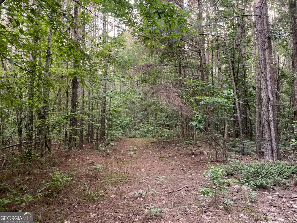 0 Caney Head RD Roopville, GA 30170