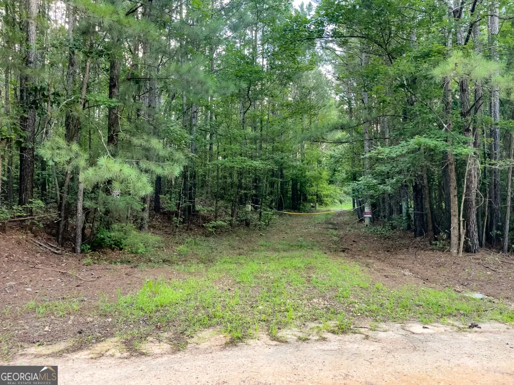 0 Caney Head RD Roopville, GA 30170
