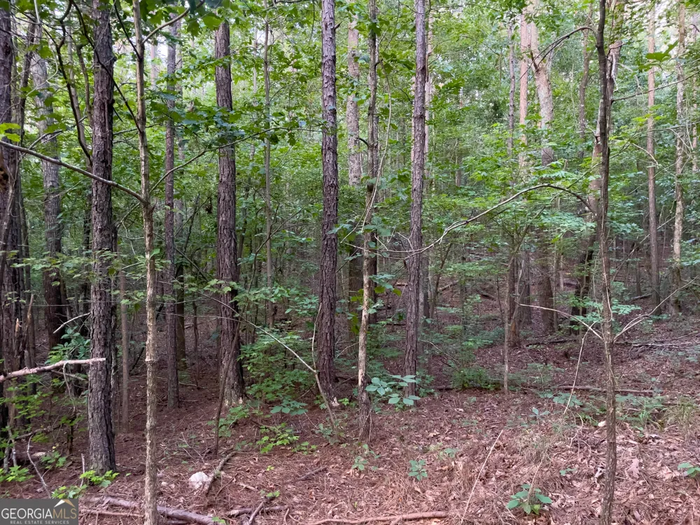 0 Caney Head RD Roopville, GA 30170